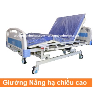  Giường bệnh 3 Tay quay Nâng hạ Tajermy G03